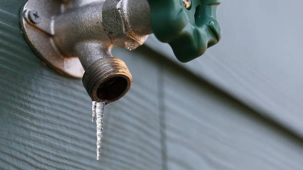 Best Commercial Plumbing Services  in Five Points, FL